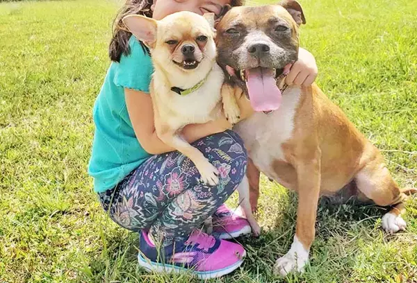 「訳アリ犬、歓迎！ 倉庫でサロンを始めた熱血トリマーと犬たちの物語」の画像