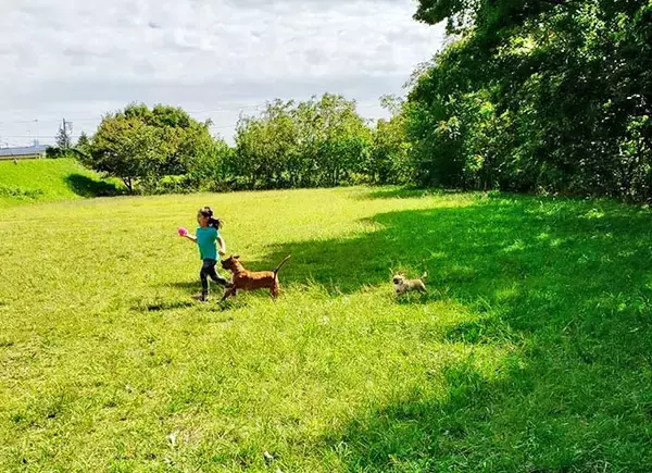 「訳アリ犬、歓迎！ 倉庫でサロンを始めた熱血トリマーと犬たちの物語」の画像