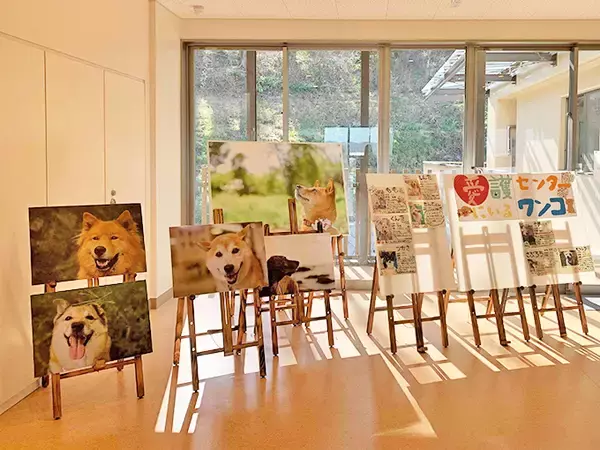 「犬猫の殺処分施設を撮影したカメラマンの苦悩と喜びと未来への願い」の画像