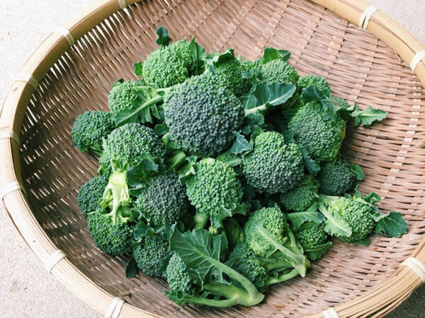 茎も葉も ブロッコリーは捨てる所がない 年1月30日 エキサイトニュース
