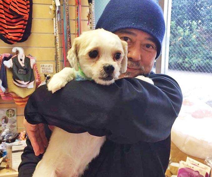 保護犬の預かりボランティアをペットロスから救った 1頭のモップ犬 年3月7日 エキサイトニュース