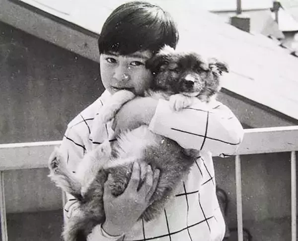 「保護犬の預かりボランティアをペットロスから救った、1頭のモップ犬」の画像