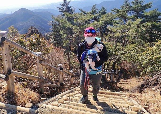 保護犬の預かりボランティアをペットロスから救った、1頭のモップ犬