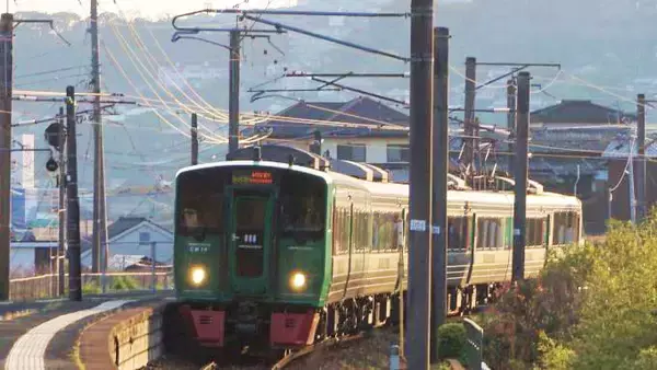 「有田駅「有田焼カレー スタンダード（ねこ）」(1890円)～「駅弁の通信販売」を楽しもう！ 我が家で旅気分！(vol.6有田テラス編)」の画像