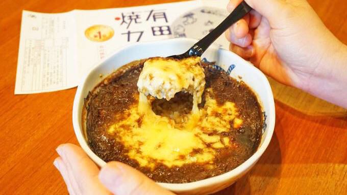 有田駅「有田焼カレー スタンダード（ねこ）」(1890円)～「駅弁の通信販売」を楽しもう！ 我が家で旅気分！(vol.6有田テラス編)