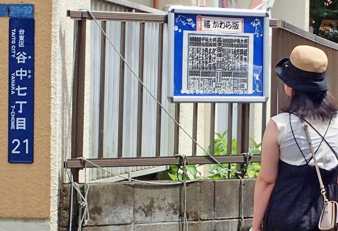 史上初！？ 猫の地位向上めざし“猫番付”を獣医師と行司が10年かけて作成