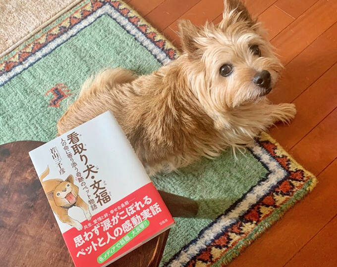 独りで逝かせない ペット可老人ホームの看取り犬をめぐる奇跡と感動の実話 年8月8日 エキサイトニュース