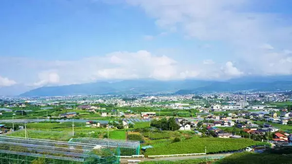 「小淵沢駅「高原野菜とからあげの弁当」(1100円)～この夏は「からあげ」がアツい！ 高原野菜とからあげのハイブリッド駅弁誕生！！」の画像