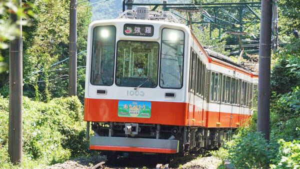 箱根湯本駅 箱根登山電車 箱根湯本駅 強羅駅間 再会 記念弁当 1300円 箱根に登山電車が帰ってきた 年8月19日 エキサイトニュース