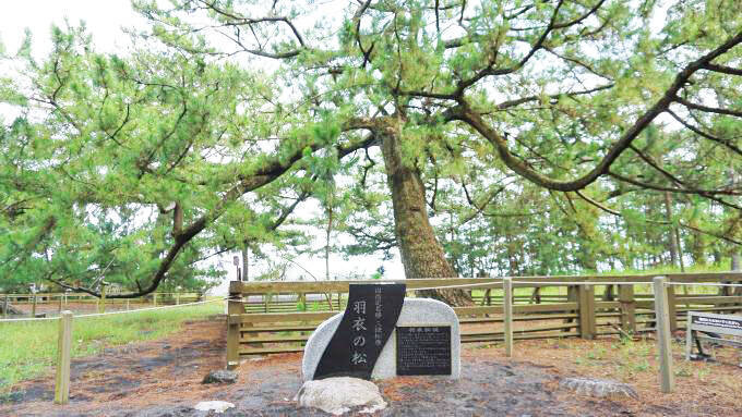 静岡駅「ごちそうシーチキン弁当」(880円)～清水港線跡を辿って世界遺産・三保松原へ