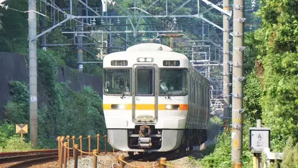 「静岡駅「うなぎめし」(1700円)～東海の親不知・大崩海岸」の画像