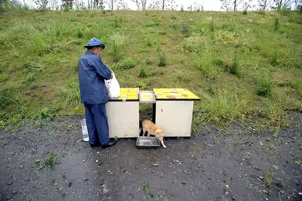 「おじさんカメラマンと河原猫と保護猫の愛にあふれる約20年のストーリー」の画像