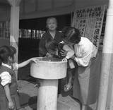 「東武博物館・写真展『会社に運動会があった頃』で蘇る昭和の風景」の画像5