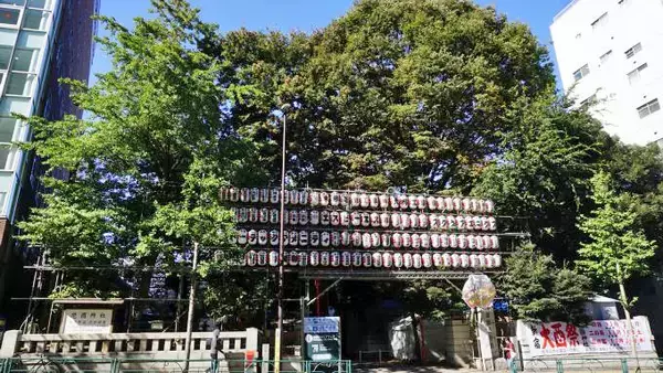 「東京駅「とりめし」(950円)～酉の市の季節！ 駅弁の「鳥めし」がリニューアル！！」の画像