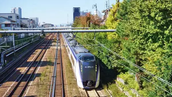 東京駅「とりめし」(950円)～酉の市の季節！ 駅弁の「鳥めし」がリニューアル！！