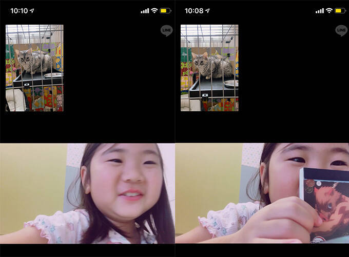 凶暴な保護猫が心を許す少女の力とは？～猫は友だち！ 猫の気持ちを尊重して！～