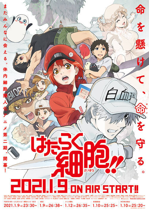 TVアニメ『はたらく細胞!!』第2弾PV公開……2021年1月9日(土)より各局にて放送開始