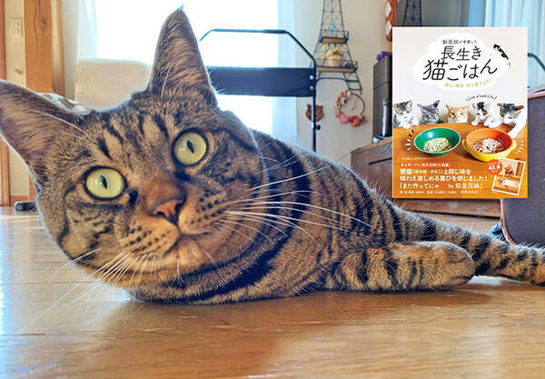 コロナで仕事減の往診獣医師に転機を授けた保護猫との出会い 2020年11月28日 エキサイトニュース