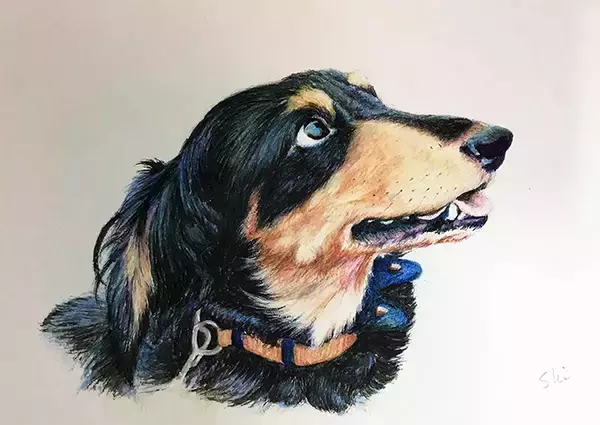 「裁判で子どもを支える“付添犬”育成に主婦を導いた、愛犬たちとの出会いと別れ」の画像