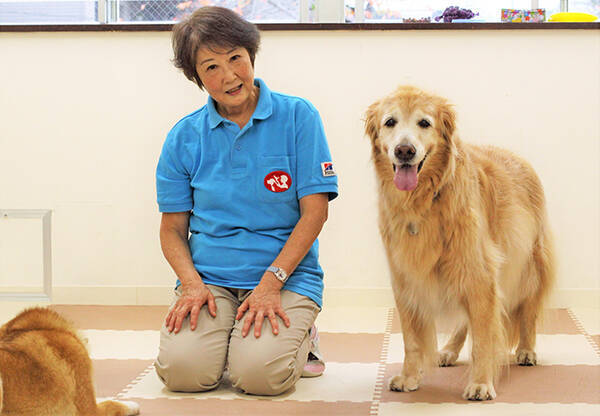 裁判で子どもを支える 付添犬 育成に主婦を導いた 愛犬たちとの出会いと別れ 年12月26日 エキサイトニュース