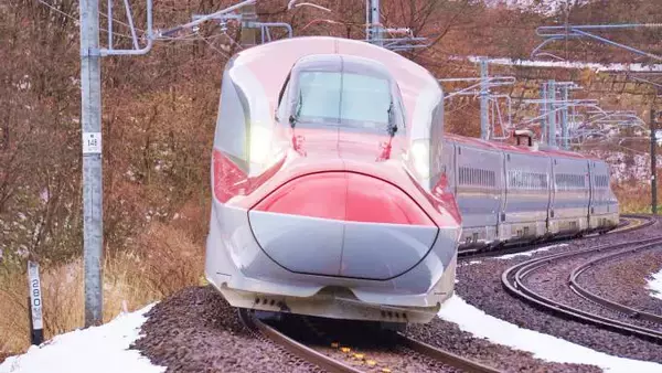 大館駅「デカ盛り鶏めし」(4320円)～我が家でたっぷり存分にいただく大館の鶏めし！