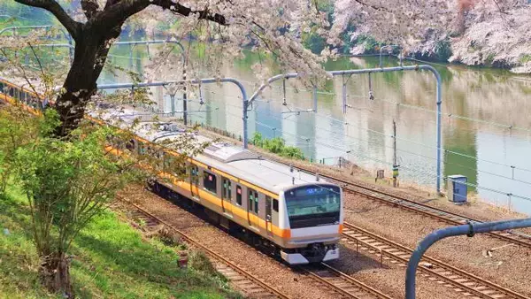 東京駅「よくばりおつまみセット(花)」(550円)～駅弁の味と一緒に我が家でお花見！