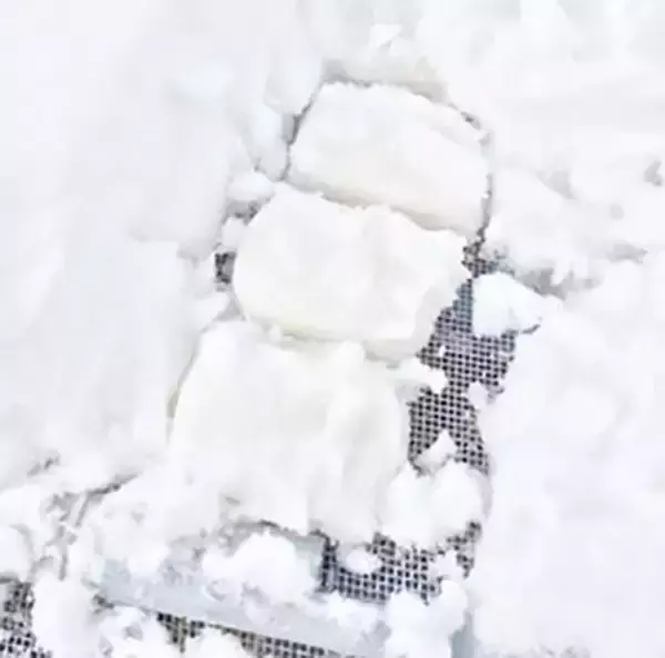 「こんにゃくをスポンジに？　30歳の若き社長が無形の文化を受け継ぐまで」の画像