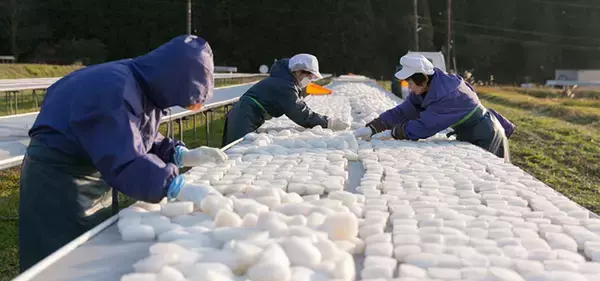 「こんにゃくをスポンジに？　30歳の若き社長が無形の文化を受け継ぐまで」の画像