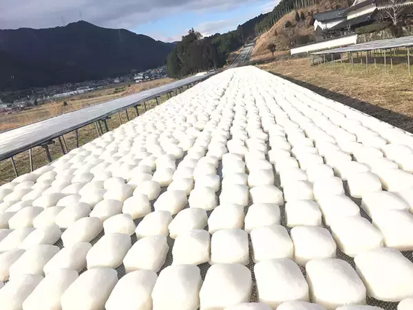 「こんにゃくをスポンジに？　30歳の若き社長が無形の文化を受け継ぐまで」の画像