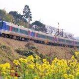 鳥取の冷凍駅弁が、アナタの家呑みを応援！