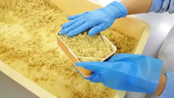 「東海道のロングセラー駅弁「元祖鯛めし」が生まれた理由」の画像