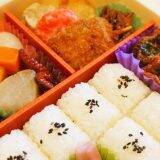 デビューから1周年！　N700Sの快適車内で駅弁も満喫