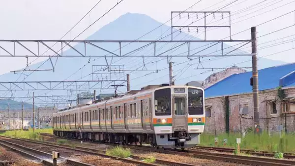 「静岡駅の駅弁は、なぜロングセラーになっていくのか？　～静岡駅弁・東海軒」の画像