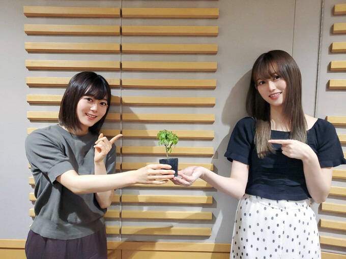 櫻坂46 守屋茜、モテたい男子がとる“行動”に「やめた方がいいですよ」　的確アドバイスに尾関梨香も感心