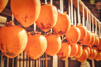 こんなにある「柿の種類」、違いがわかりますか？