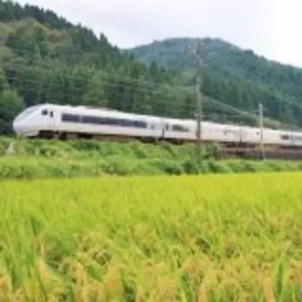 「米原の新名物！　老舗駅弁屋さんが本気でつくる「カレー」とは？」の画像