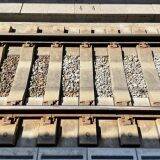 米原の新名物！　老舗駅弁屋さんが本気でつくる「カレー」とは？