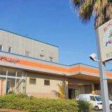 岡山駅弁にイロイロな色の「桃」が登場している背景にあるものは？