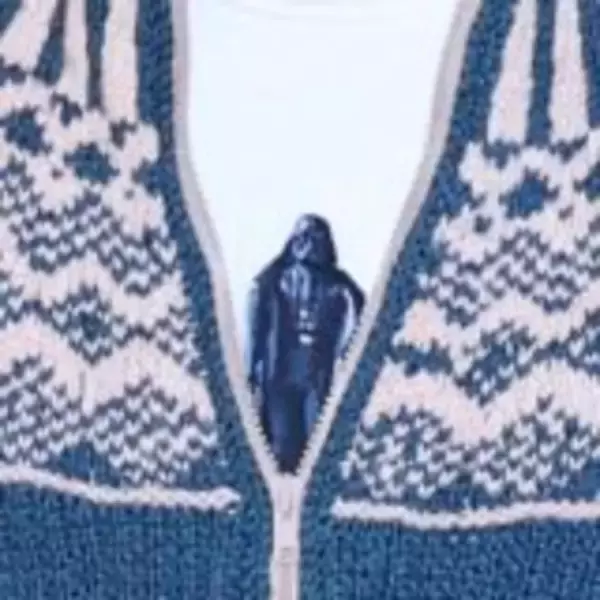 「小室圭さんのTシャツの“ダース・ベイダー”は「『これからは悪役に徹します』ということ？」辛坊治郎が意図を推測」の画像