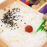 「そこまでやるか！　松江の老舗駅弁店が「米」にこだわる理由　～松江駅弁・一文字家」の画像13