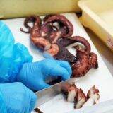 「国民の10人に1人が食べた人気駅弁、「ひっぱりだこ飯」の製造に密着してみた！　～神戸駅弁・淡路屋」の画像21