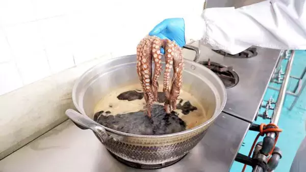 「国民の10人に1人が食べた人気駅弁、「ひっぱりだこ飯」の製造に密着してみた！　～神戸駅弁・淡路屋」の画像