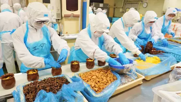 「国民の10人に1人が食べた人気駅弁、「ひっぱりだこ飯」の製造に密着してみた！　～神戸駅弁・淡路屋」の画像