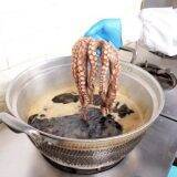 国民の10人に1人が食べた人気駅弁、「ひっぱりだこ飯」の製造に密着してみた！　～神戸駅弁・淡路屋