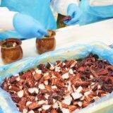 「国民の10人に1人が食べた人気駅弁、「ひっぱりだこ飯」の製造に密着してみた！　～神戸駅弁・淡路屋」の画像24