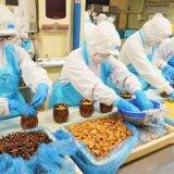 国民の10人に1人が食べた人気駅弁、「ひっぱりだこ飯」の製造に密着してみた！　～神戸駅弁・淡路屋