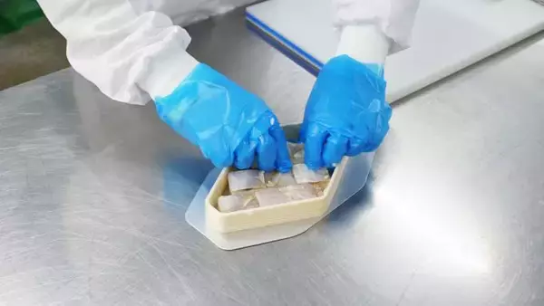 「もうすぐ新幹線がやって来る！　福井・敦賀の名物駅弁「元祖鯛鮨」とは？」の画像