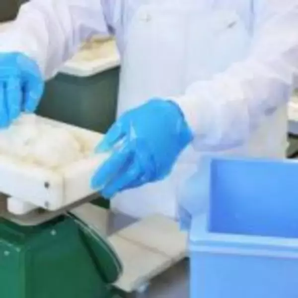 「もうすぐ新幹線がやって来る！　福井・敦賀の名物駅弁「元祖鯛鮨」とは？」の画像