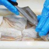 「もうすぐ新幹線がやって来る！　福井・敦賀の名物駅弁「元祖鯛鮨」とは？」の画像20