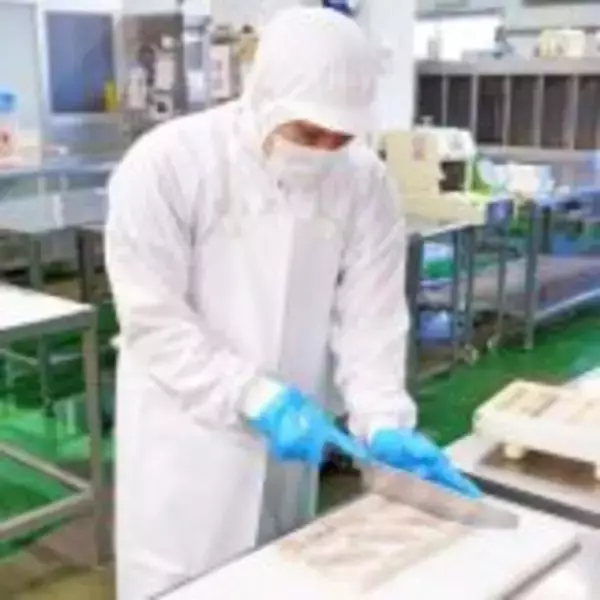 「もうすぐ新幹線がやって来る！　福井・敦賀の名物駅弁「元祖鯛鮨」とは？」の画像